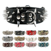 Studded Leather Dog Collars