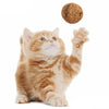 Catnip Treat Ball Toy