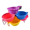 Pet Collapsible Feeding Water Dish