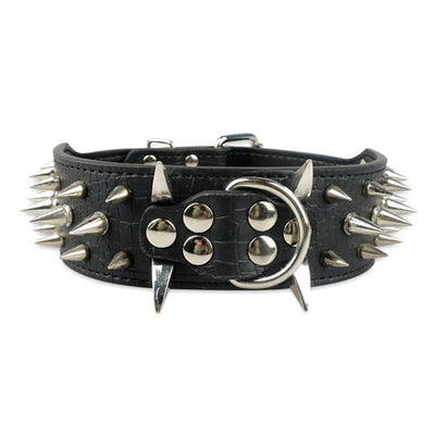 Studded Leather Dog Collars