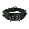 Studded Leather Dog Collars