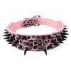 Studded Leather Dog Collars