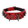 Studded Leather Dog Collars