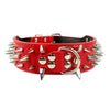 Studded Leather Dog Collars