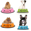 Dog Bowl Food Container