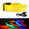 Rechargeable LED Dog Collar