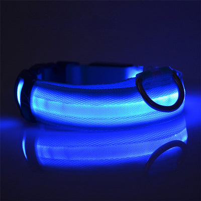 Rechargeable LED Dog Collar