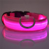 Rechargeable LED Dog Collar