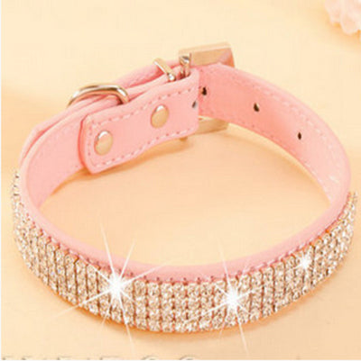 Puppy Pet Dog Collars