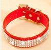 Puppy Pet Dog Collars