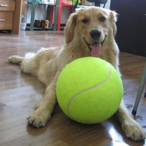 Tennis Ball Giant Pet Toy