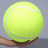 Tennis Ball Giant Pet Toy