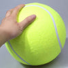 Tennis Ball Giant Pet Toy