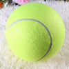 Tennis Ball Giant Pet Toy