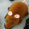 Funny Pet Cat Mice Toy