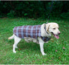 Waterproof Reversible Dog Jacket