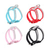 Puppy Small Dog Collar