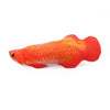 Fish Shape Toy