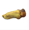Fish Shape Toy