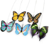 Electric Rotating Colorful Butterfly Toy