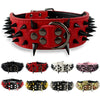 Studded Leather Dog Collars